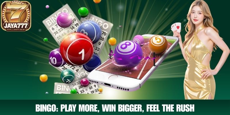 Bingo: Play More, Win Bigger, Feel the Rush