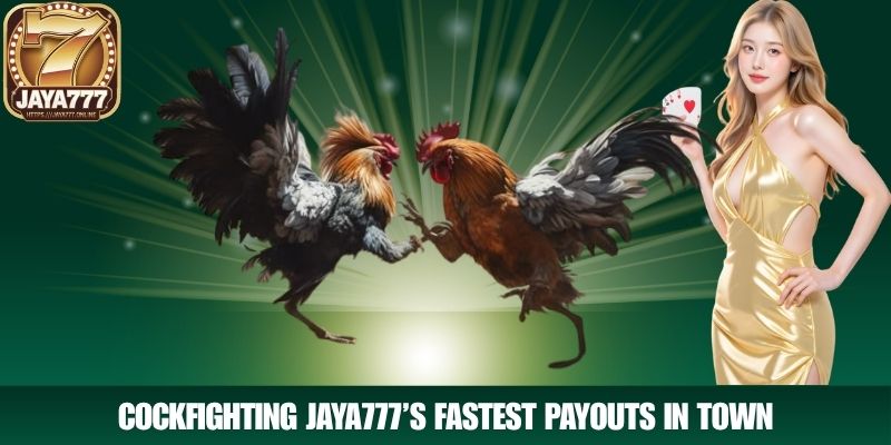 Cockfighting JAYA777’s Fastest Payouts in Town
