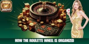 How the Roulette Wheel is Organized