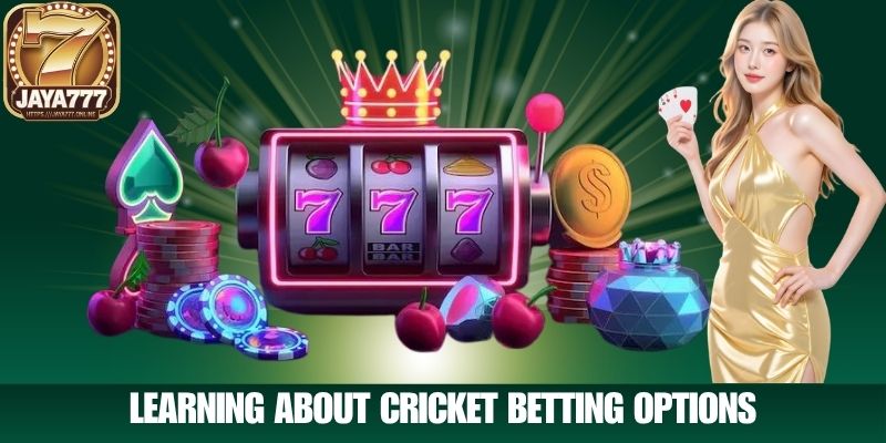 Learning About Cricket Betting Tips Options