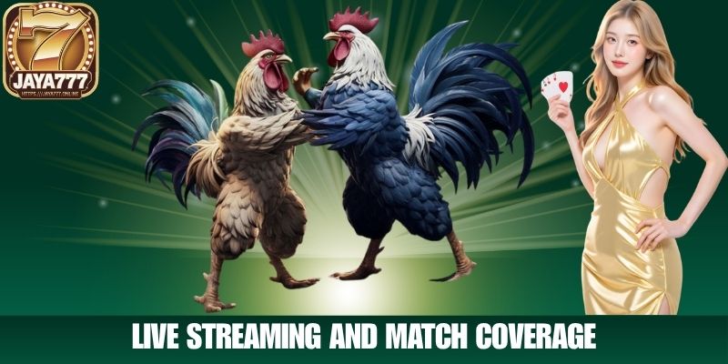 Live Streaming and Match Coverage