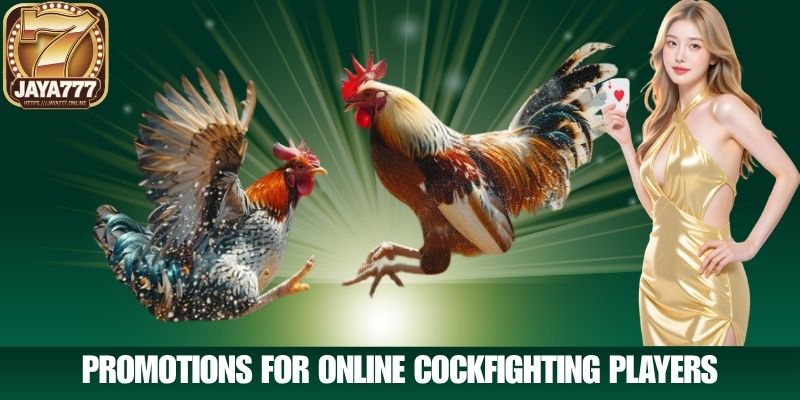 Promotions for Online Cockfighting Players