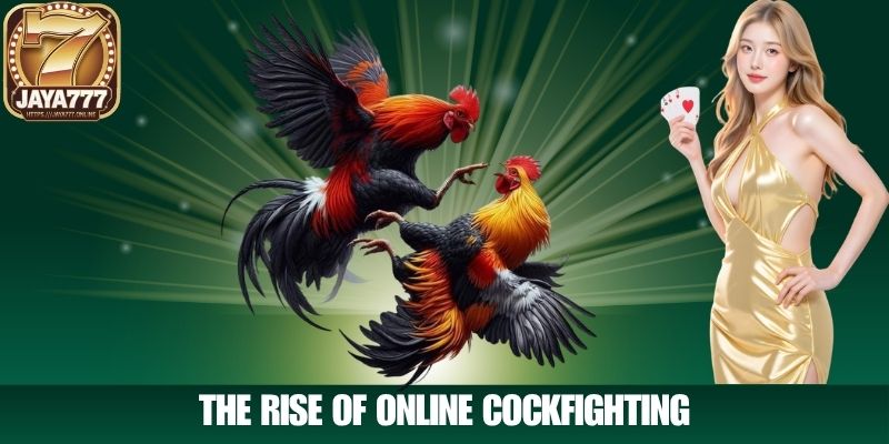The Rise of Online Cockfighting
