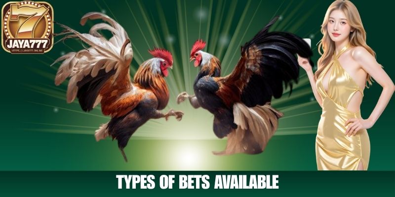 Types of Bets Available