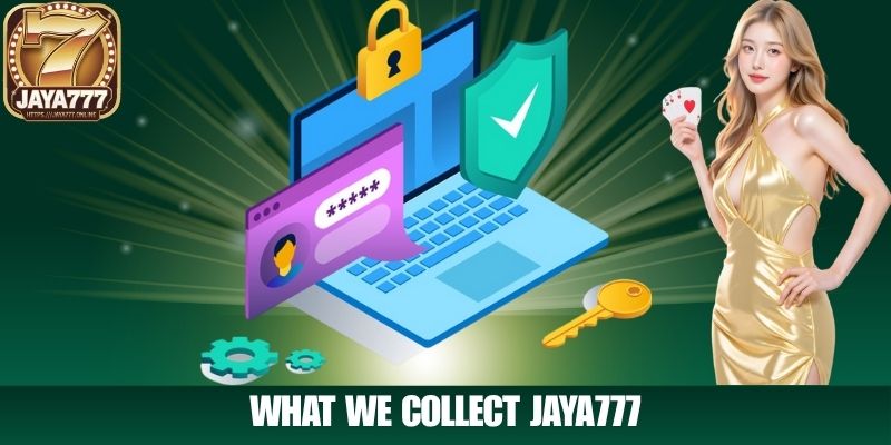 What We Collect