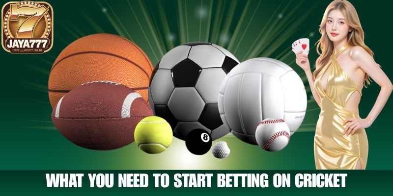 What You Need to Start Betting on Cricket