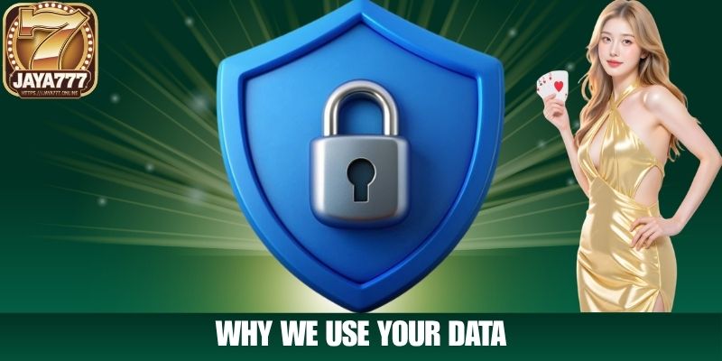 Why We Use Your Data